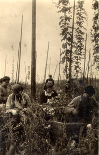 Brigáda